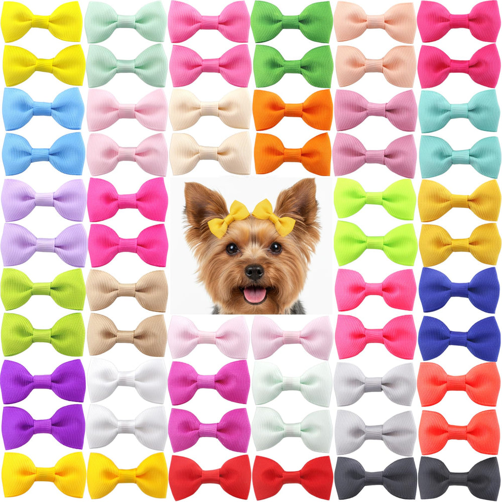 QingHan tenues assorties chien proprietaire pour un style coordonne