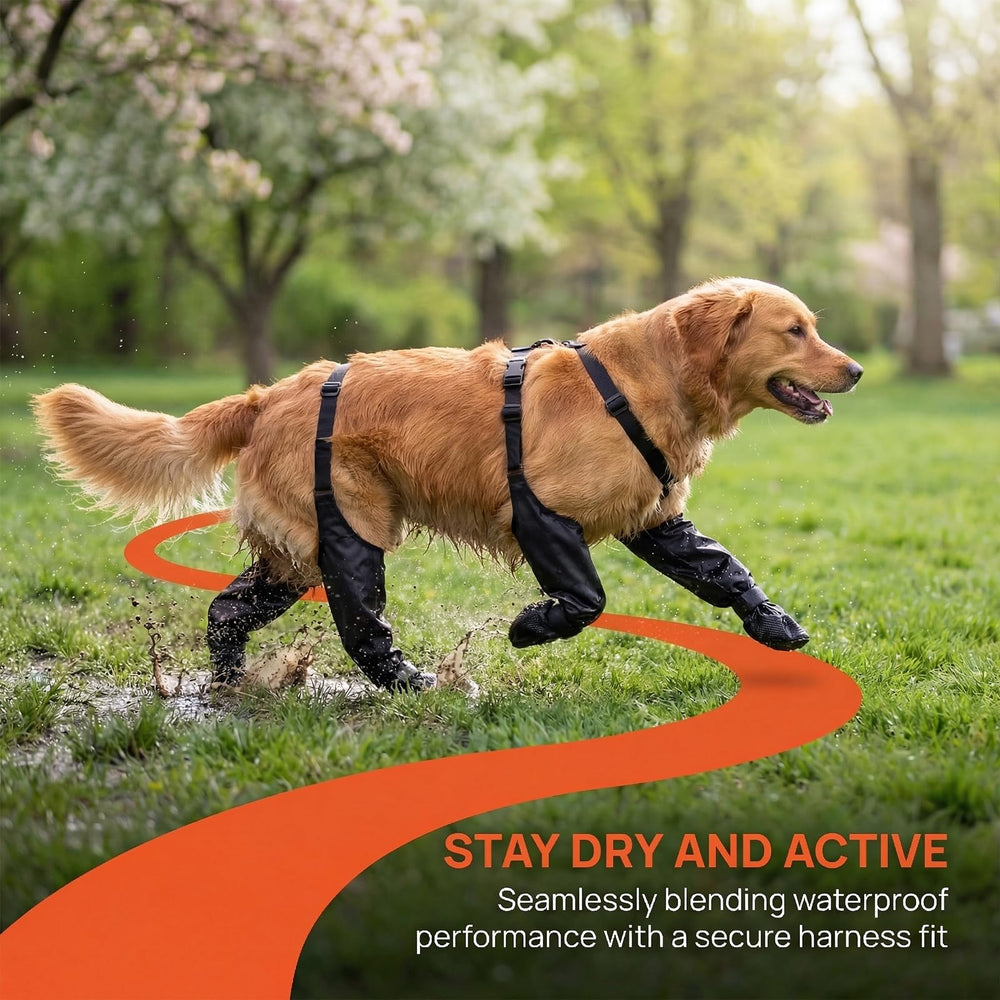 QINSHIYUE bottes chien confort doux et respirant pour l'été