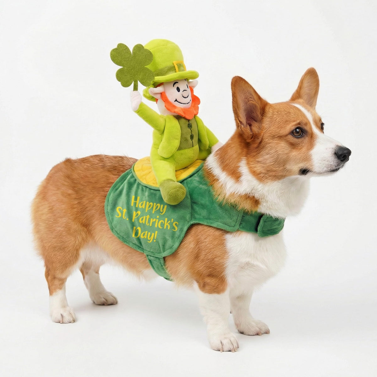 Vêtement QIONG MENG pour chien avec chapeau vert, idéal pour Saint-Patrick et photos festives.
