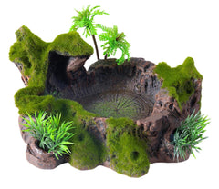 Plateforme QIRMIZI pour reptile en bain de soleil, favorisant le confort et la thermorégulation.