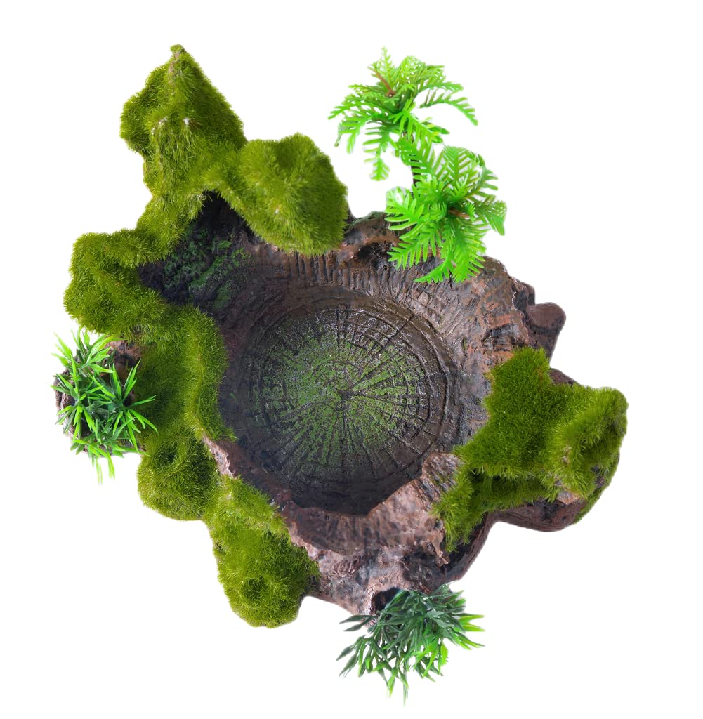 QIRMIZI plateforme reptile design compact, gain d'espace dans le terrarium.