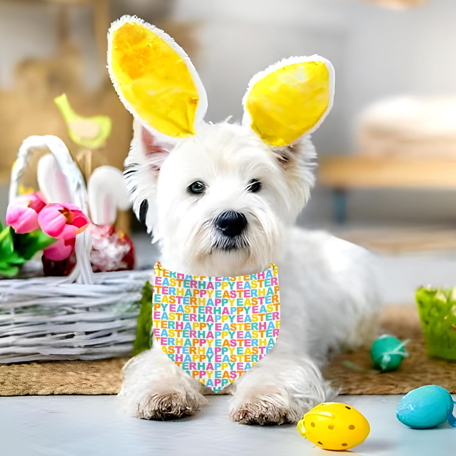 Bandana QIRUIMI été pour animaux, décoratif et pratique lors des sorties.