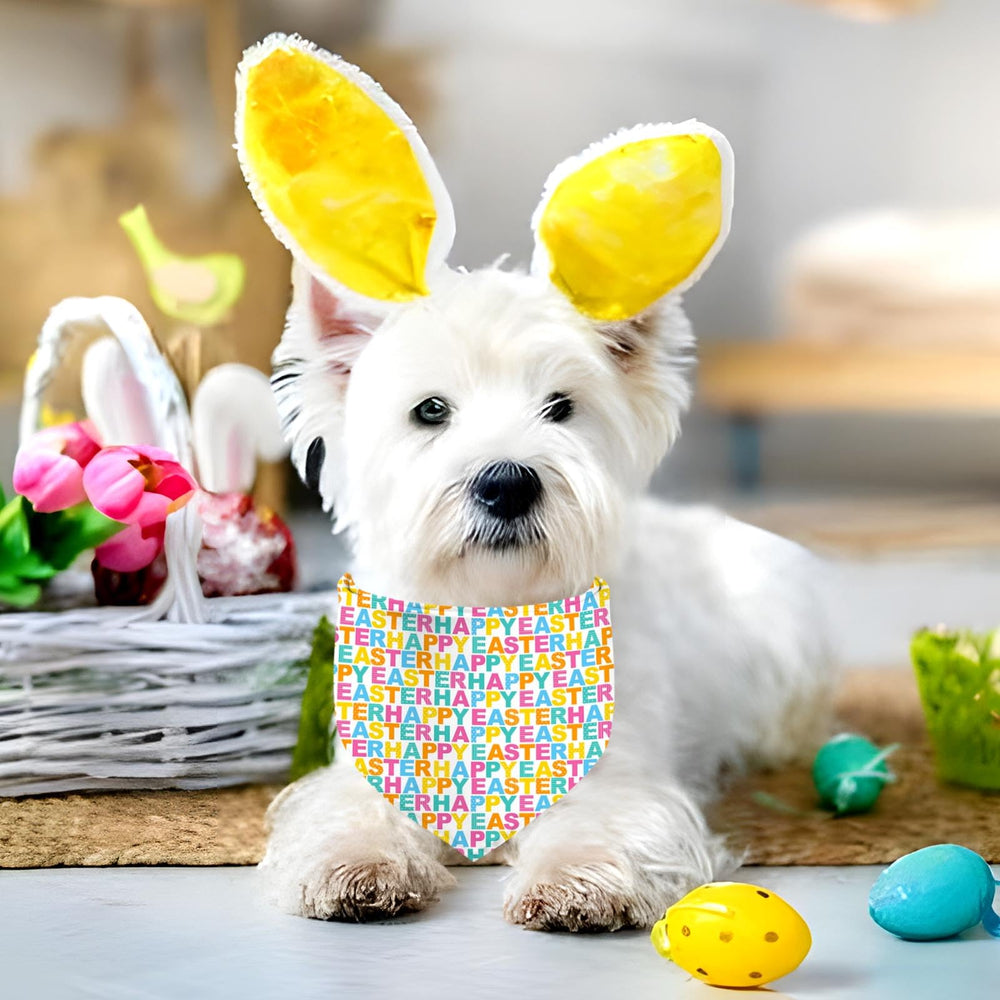 Bandana QIRUIMI été pour animaux, décoratif et pratique lors des sorties.