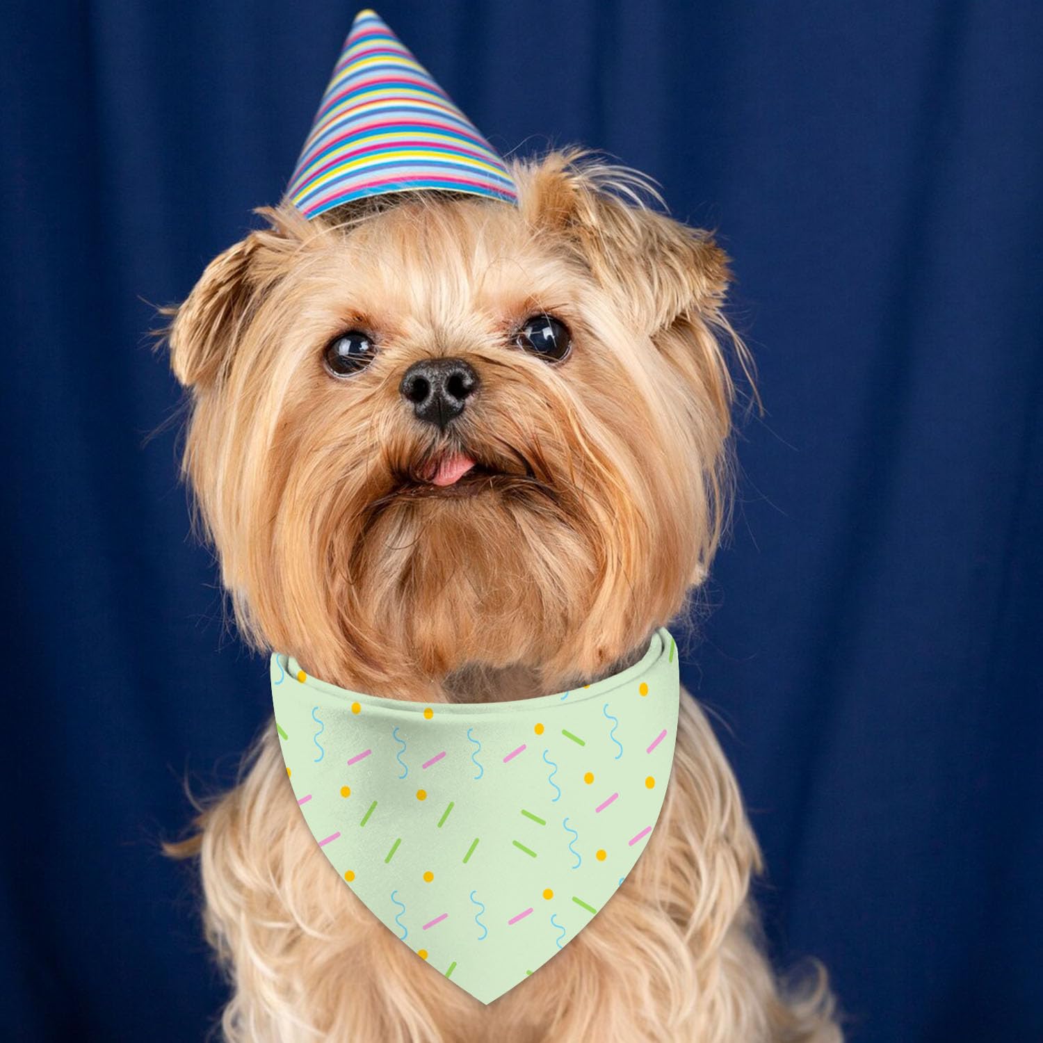 QIRUIMI bandana chien accessoire mode léger