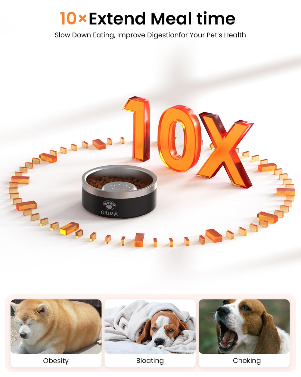 Capacité de 3,5 tasses, bol lent adapté aux chiens moyens et grands.
