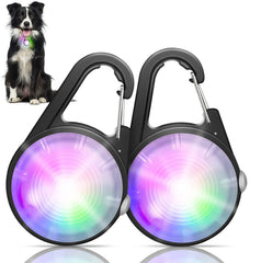 Collier lumineux QIZIYARDALL brillant, visibilité accrue pour promenades nocturnes.