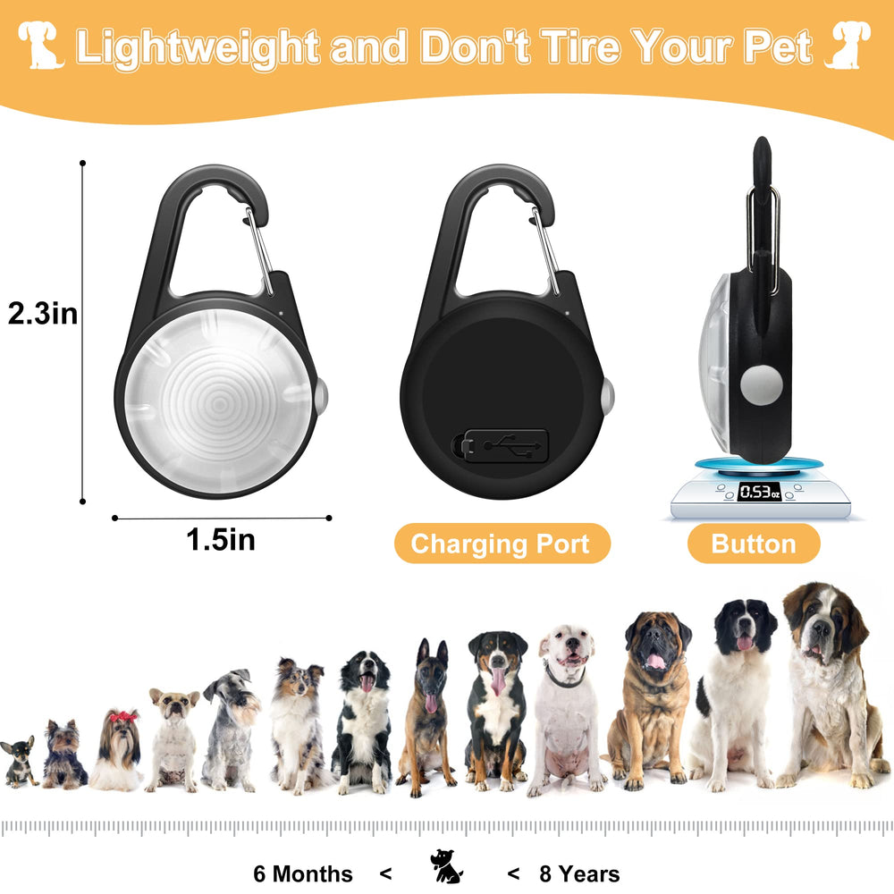 QIZIYARDALL collier chien IP68 étanche jusqu’à 5 m pour activités aquatiques.