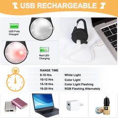 QIZIYARDALL collier chien mode RGB clignotant pour urgence visuelle.