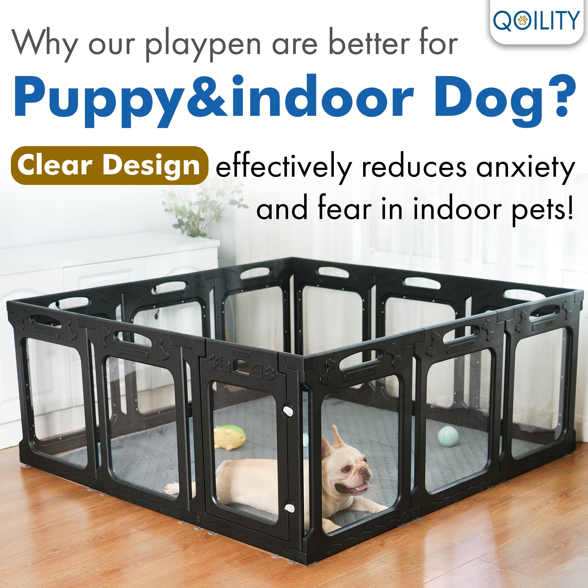 Qoility aire-de-jeu petit chien transparent, parfait pour entraînement et repos.