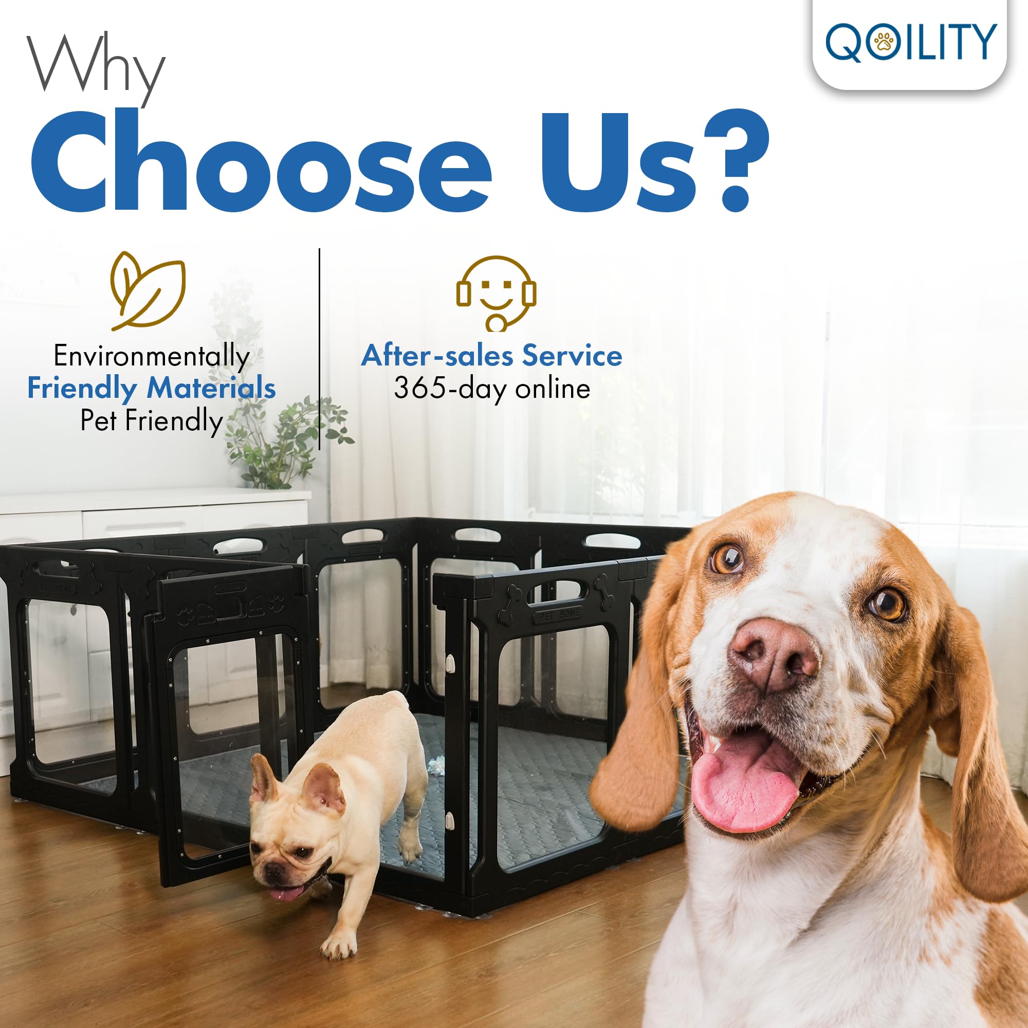 Qoility surface lisse enclos chien transparent, nettoyage facile et durable.