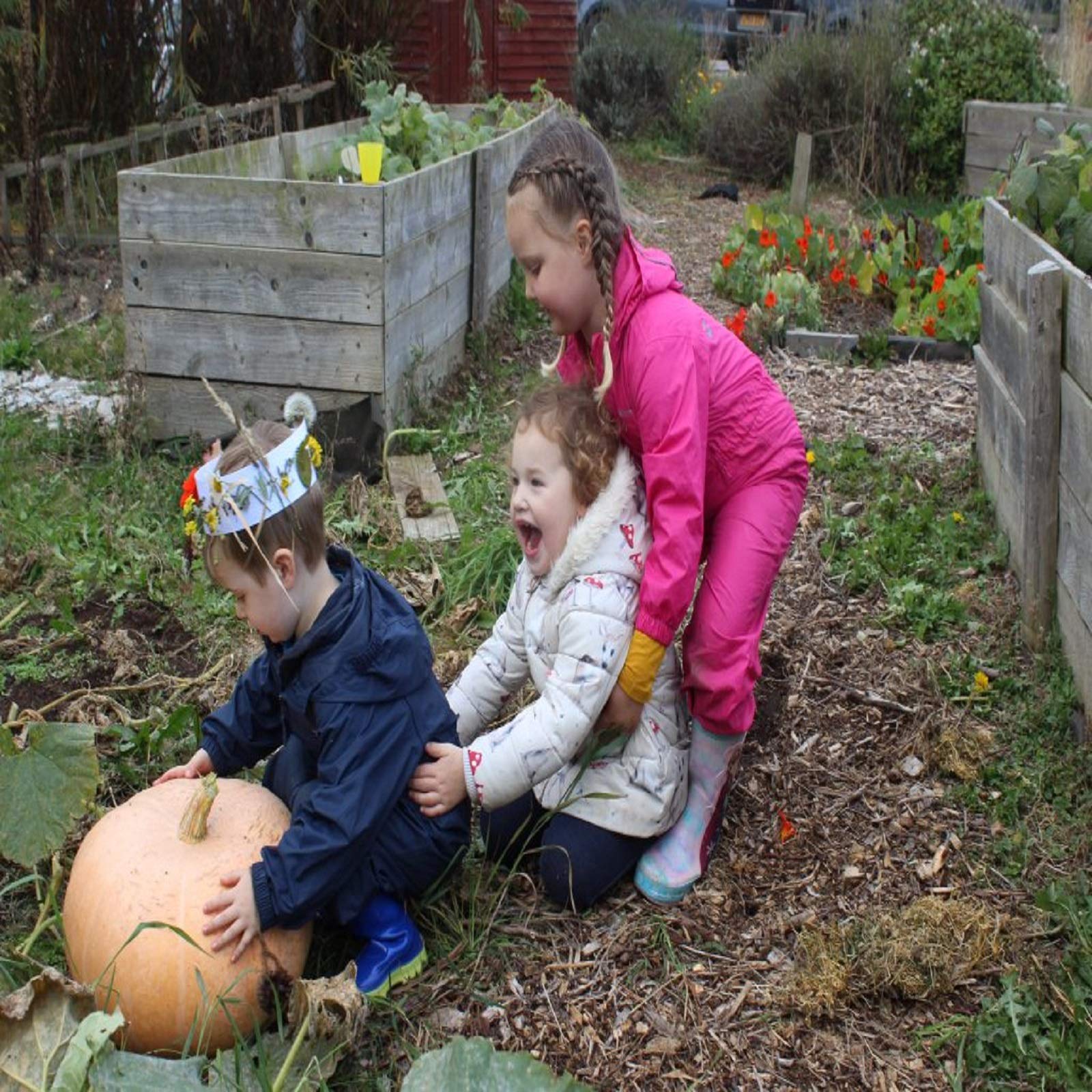QPEY plateau-atelier-jardin: idéal comme bac d'outil ou plateau potager.