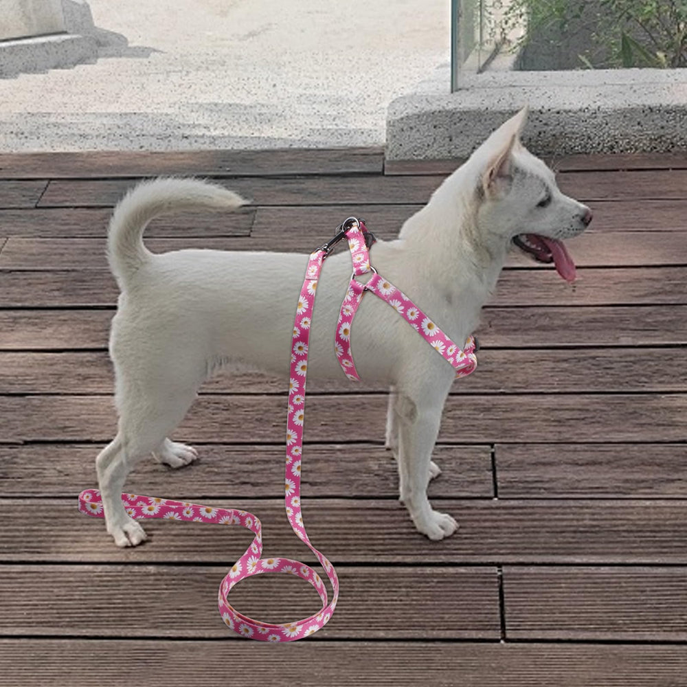 QQPETS harnais reglable double offre ajustement sûr et polyvalent.