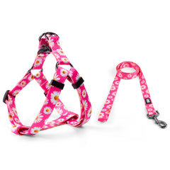 QQPETS laisse chien 5 pieds idéale pour des balades confortables et contrôlées.