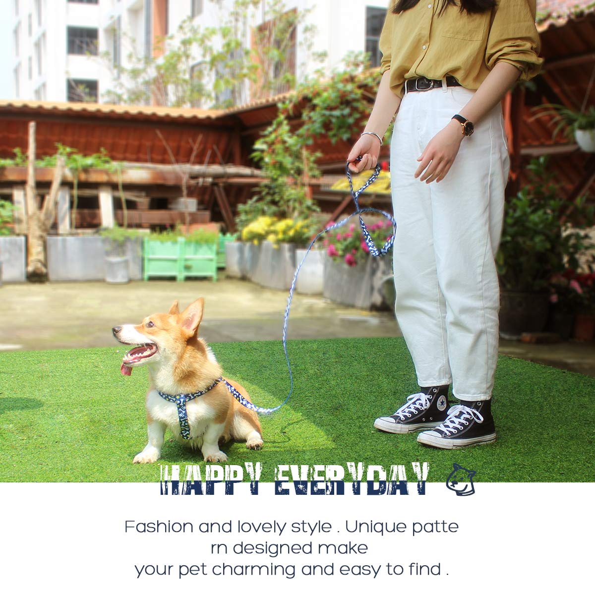 QQPETS motif-design harnais-chien, style visible en balade.