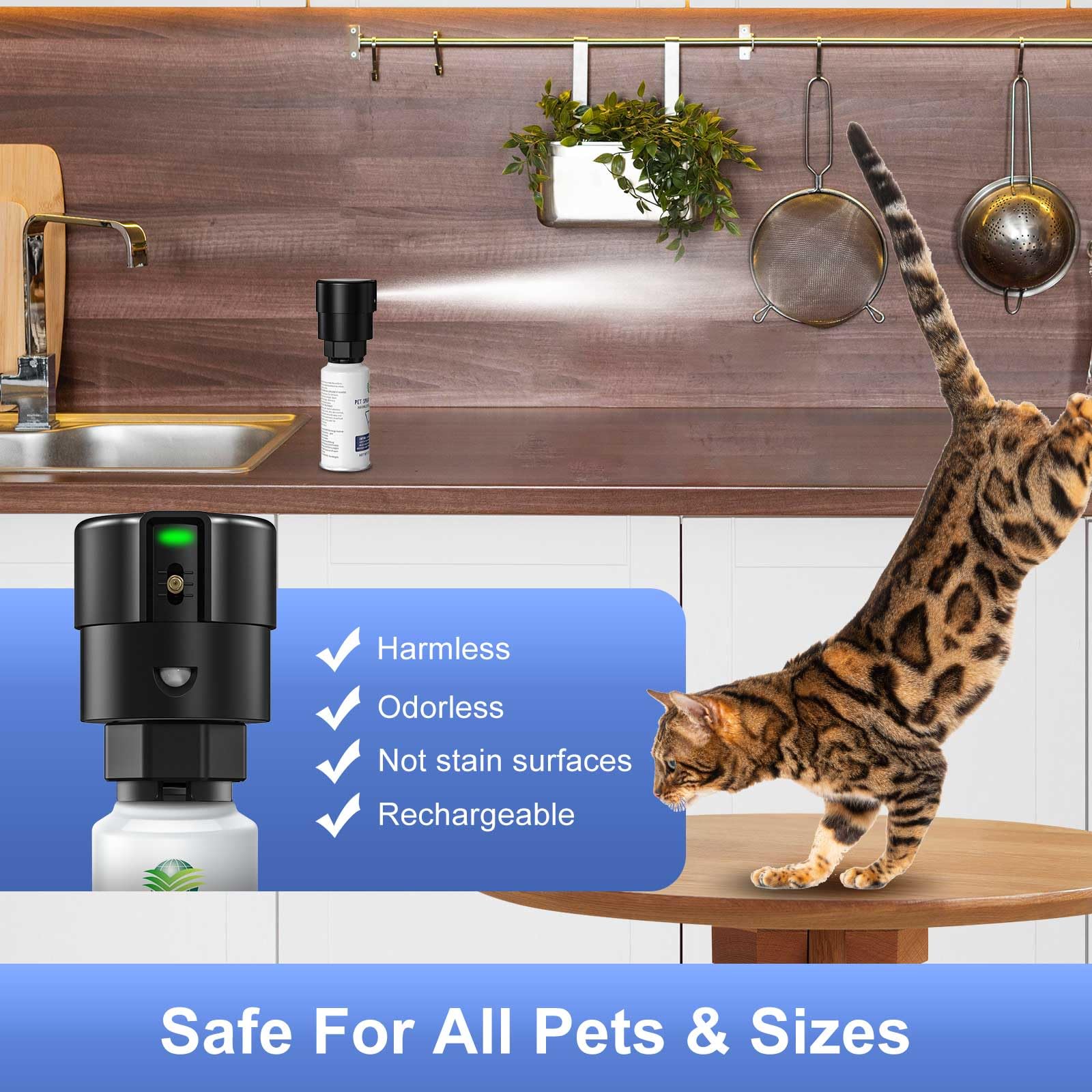 Bouteille refill chat 3-89oz recharge durable pour sessions prolongées.
