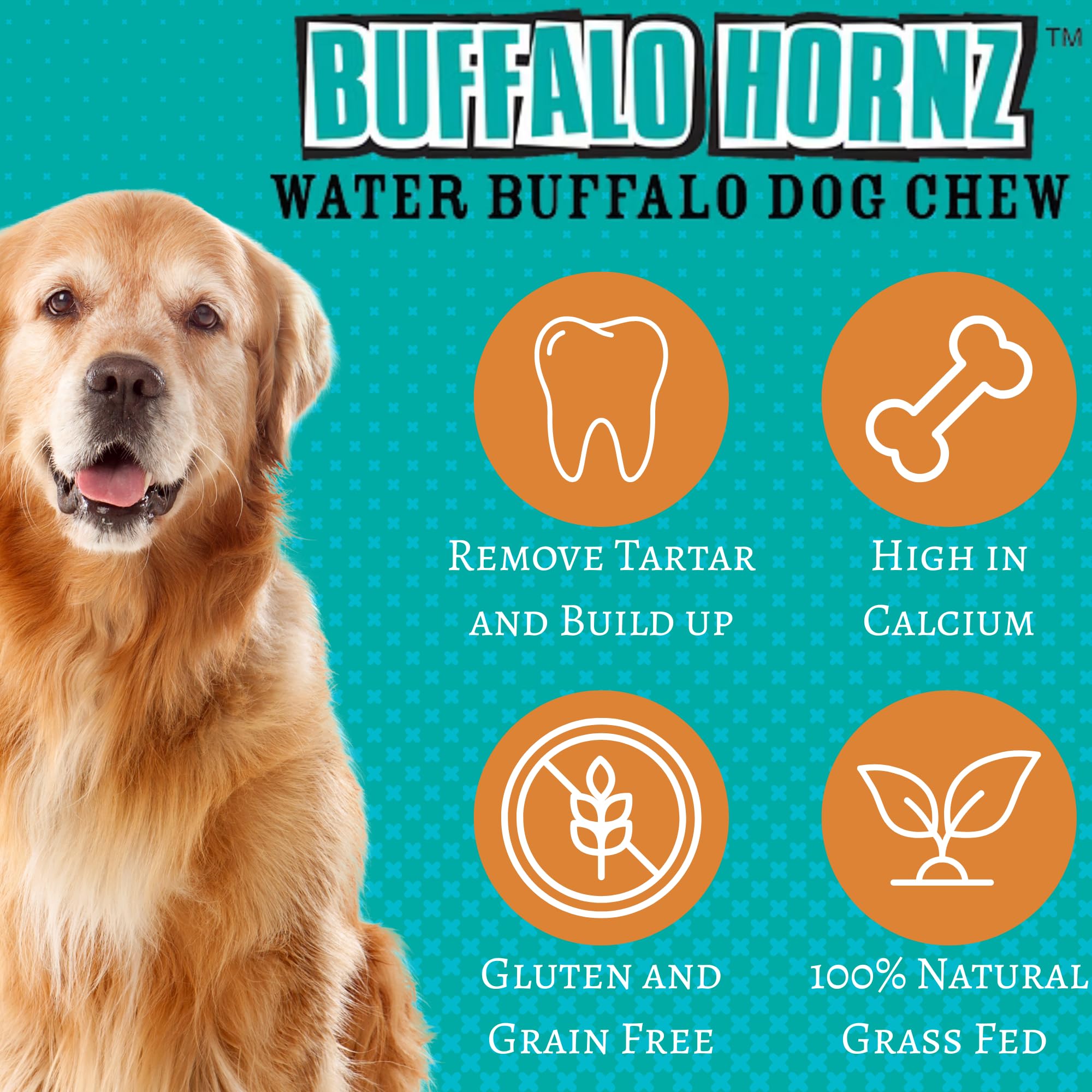QT Dog corne buffle d'eau petit odeur naturelle, expérience sensorielle agréable.