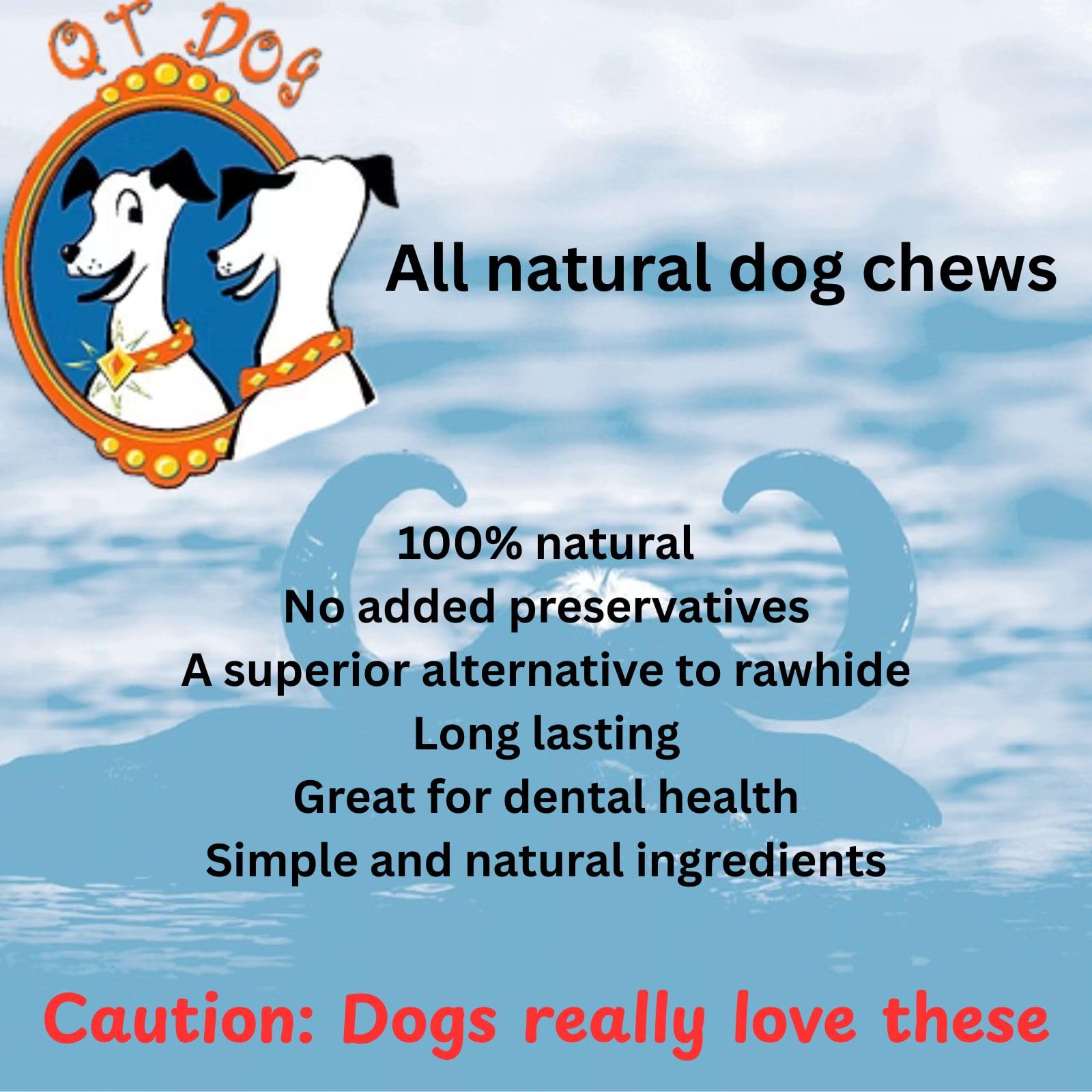 QT Dog Gobi: lot de 4, idéale pour rotation quotidienne chez chiens actifs.