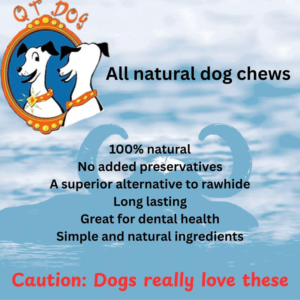 QT Dog Gobi: lot de 4, idéale pour rotation quotidienne chez chiens actifs.