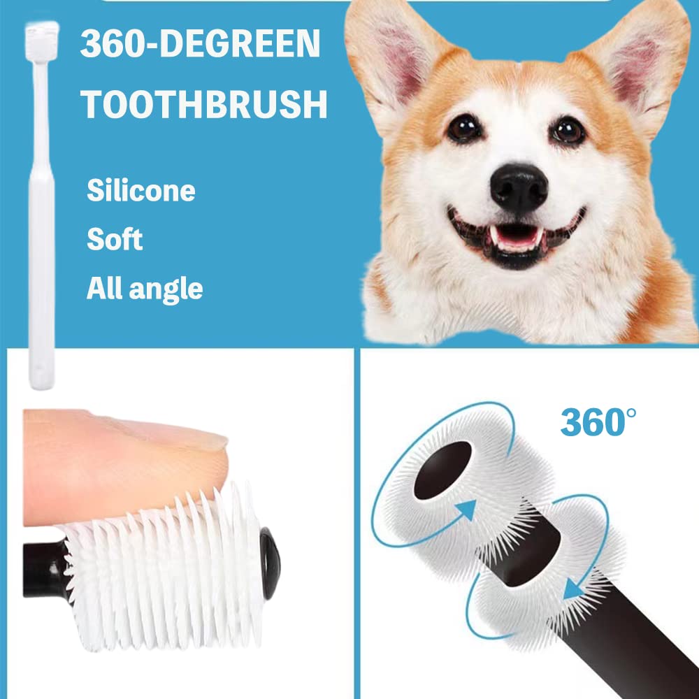 Qubccum brosse double tête dure: nettoyage en profondeur pour petits chiens et chats.