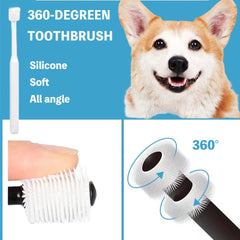 Qubccum brosse double tête dure: nettoyage en profondeur pour petits chiens et chats.