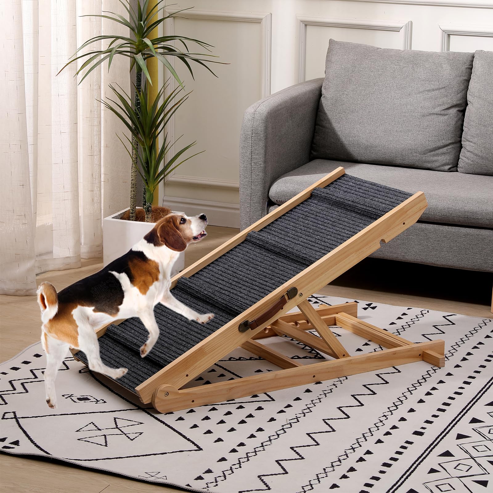 QUCHRYO rampe utilisation intérieur extérieur — adaptée pour chiens et chats.