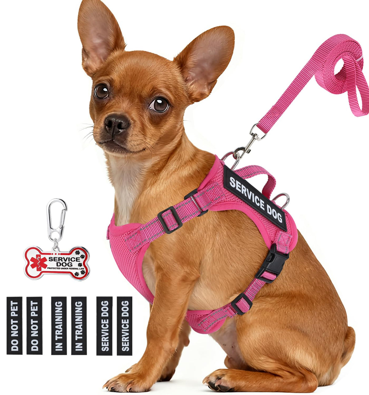 Gilet service chien petit QUDLIMO avec badge d'identification et confort.