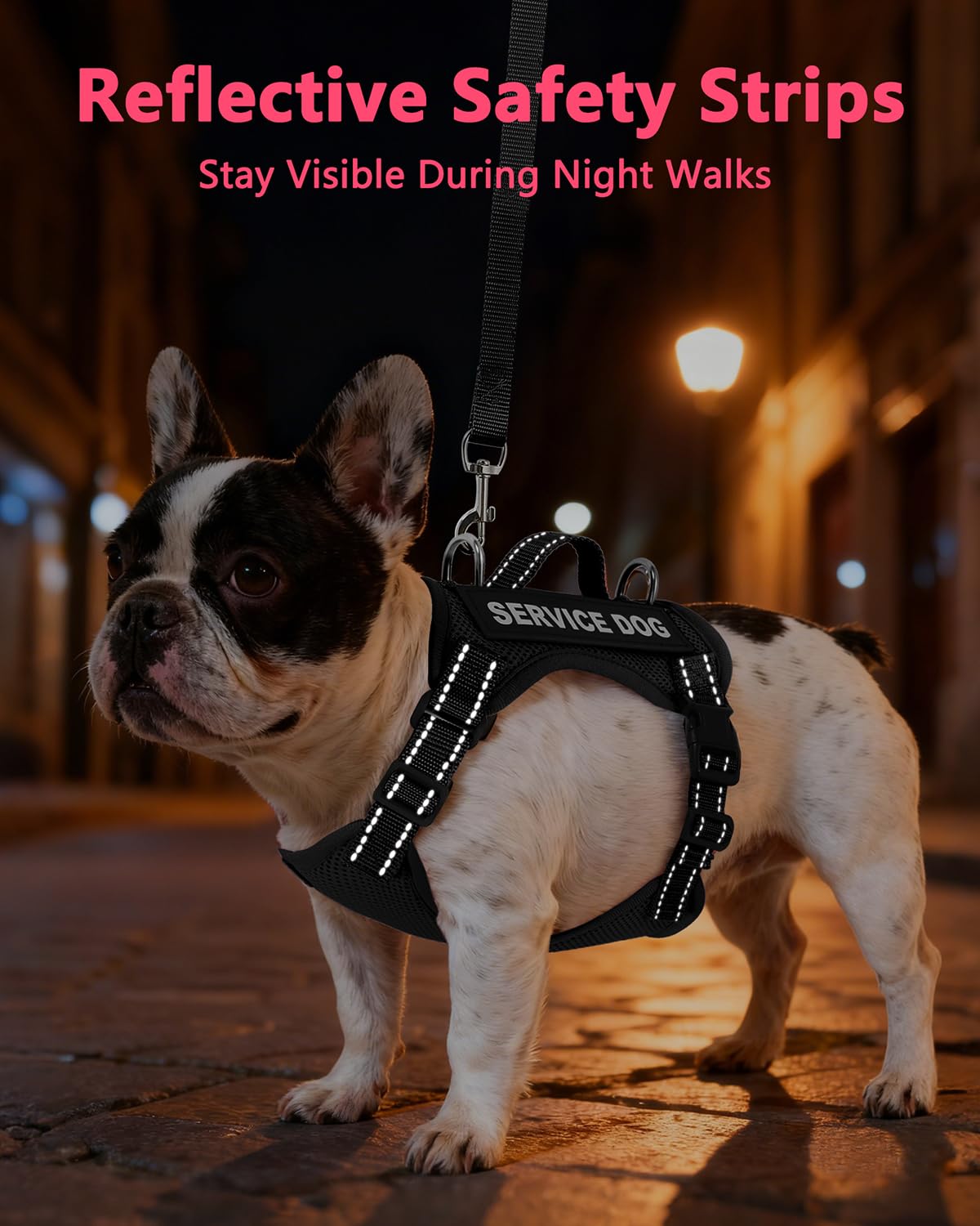 Guide des tailles QUDLIMO pour harnais petit chien, mesures faciles.