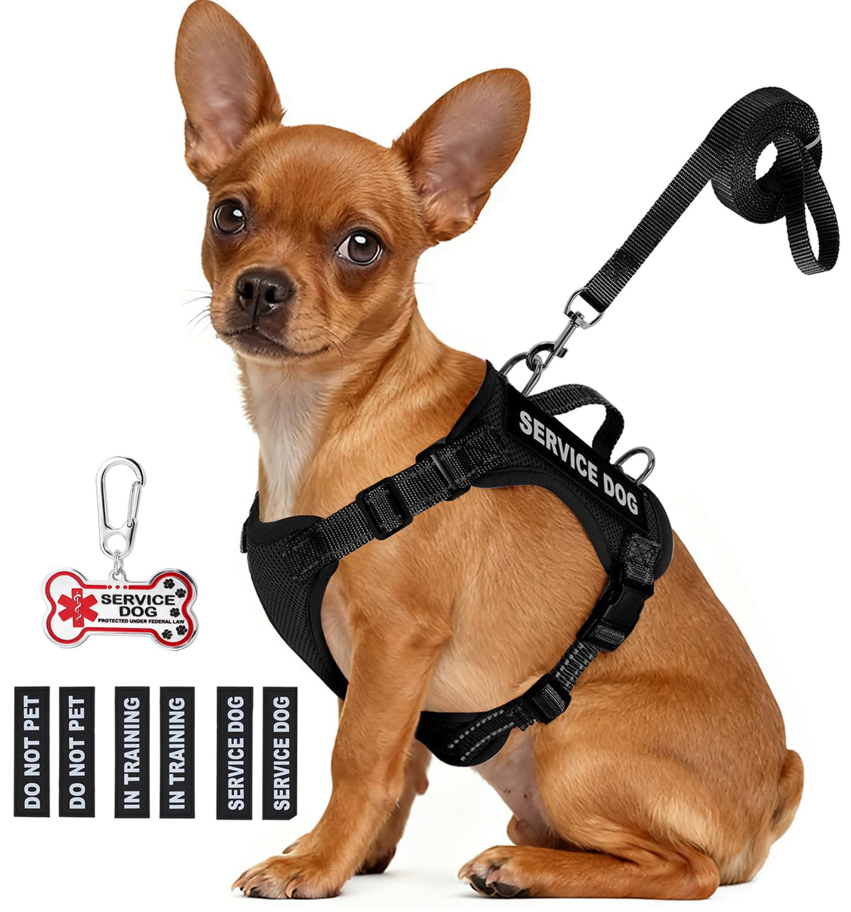 Harnais-service QUDLIMO pour petit chien, léger et confortable, parfait pour les balades.