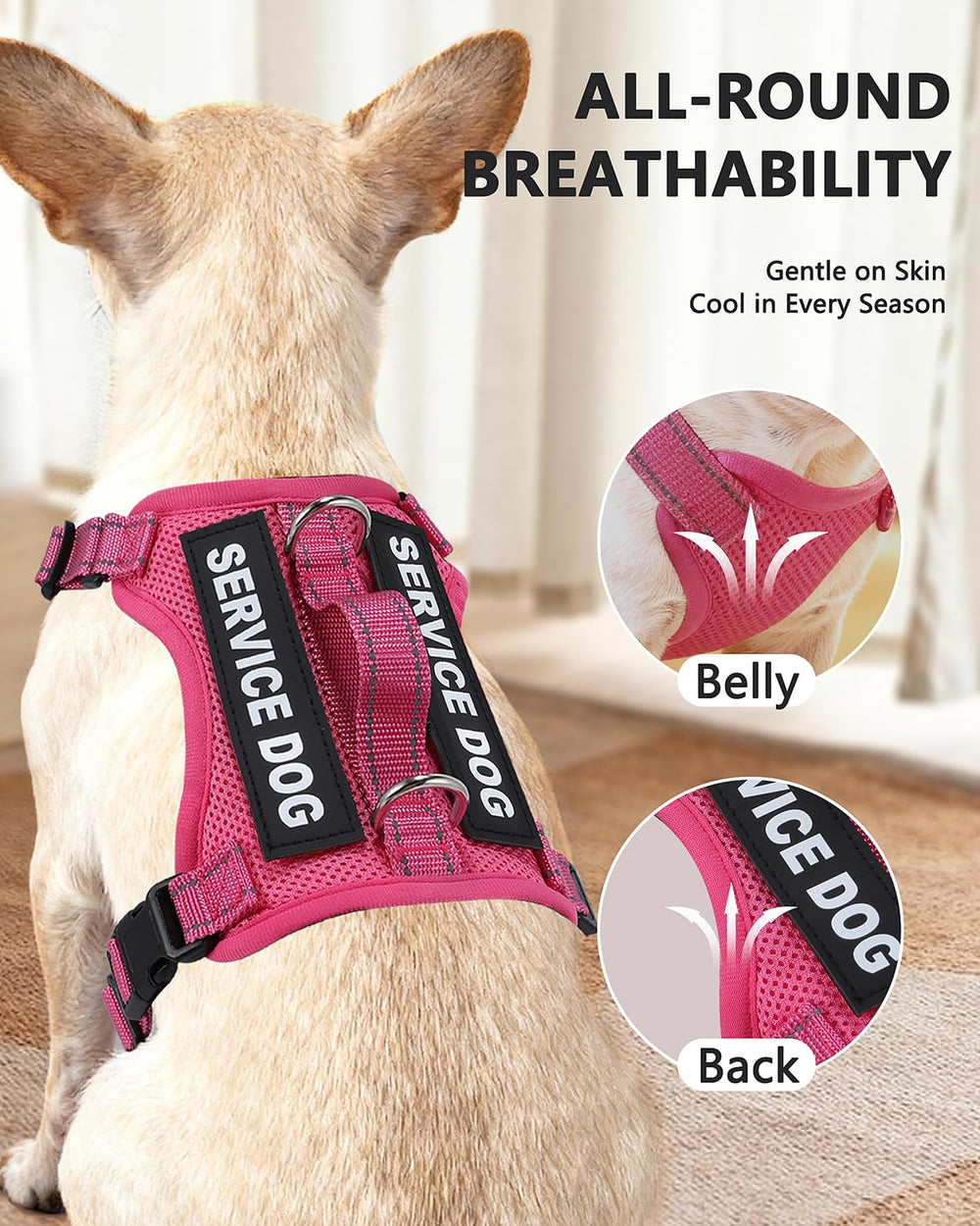Patchs service chien 6 pièces pour kit démarrage QUDLIMO.