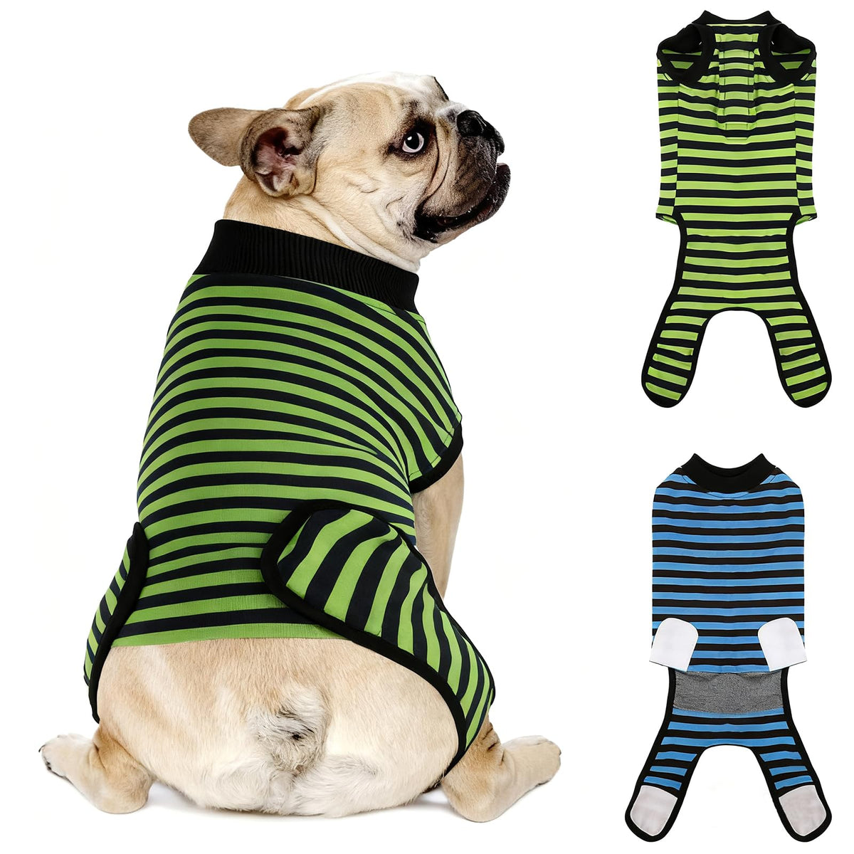 Quearn combinaison de récupération pour chien coton respirant, confort durable