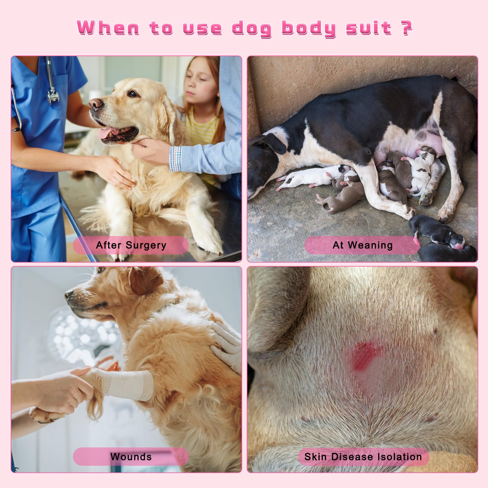Détails de la poche sous le ventre dans la combinaison QUEARN pour chien.