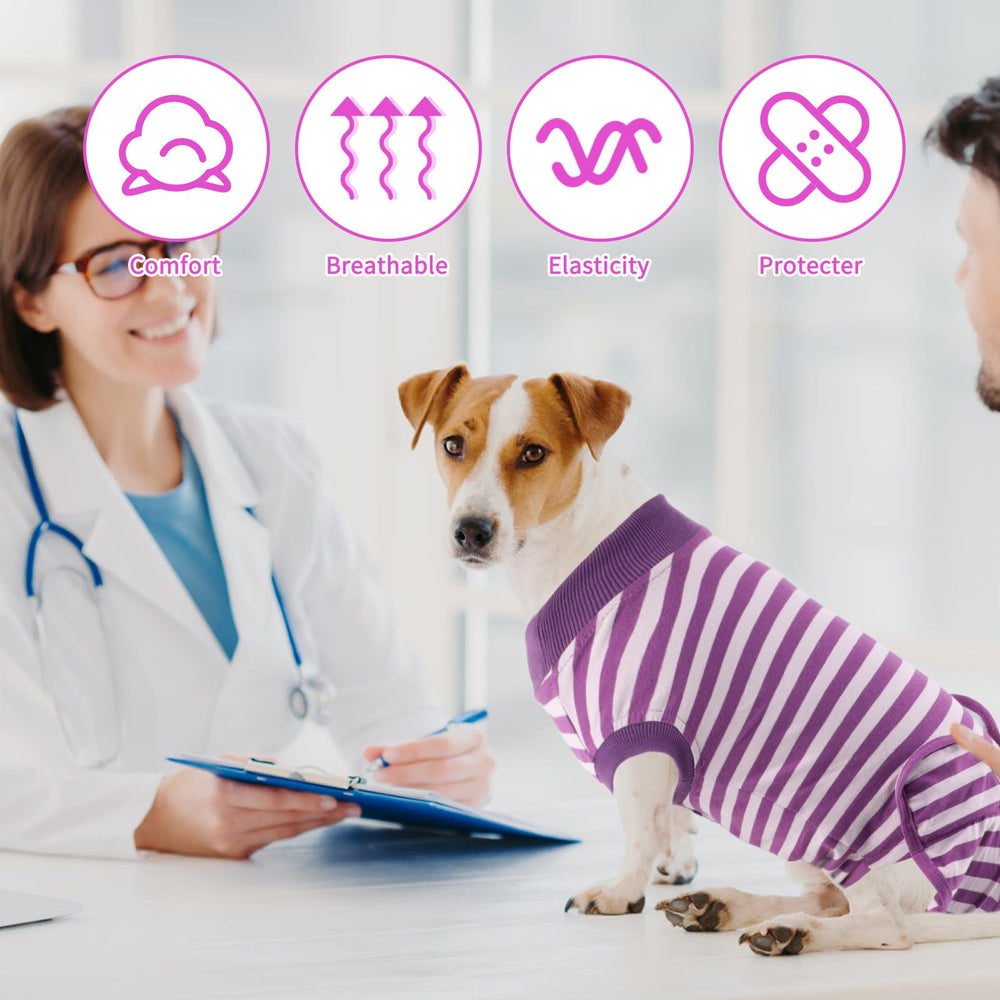 Ajustement et confort améliorés grâce au design enveloppant QUEARN pour chien.