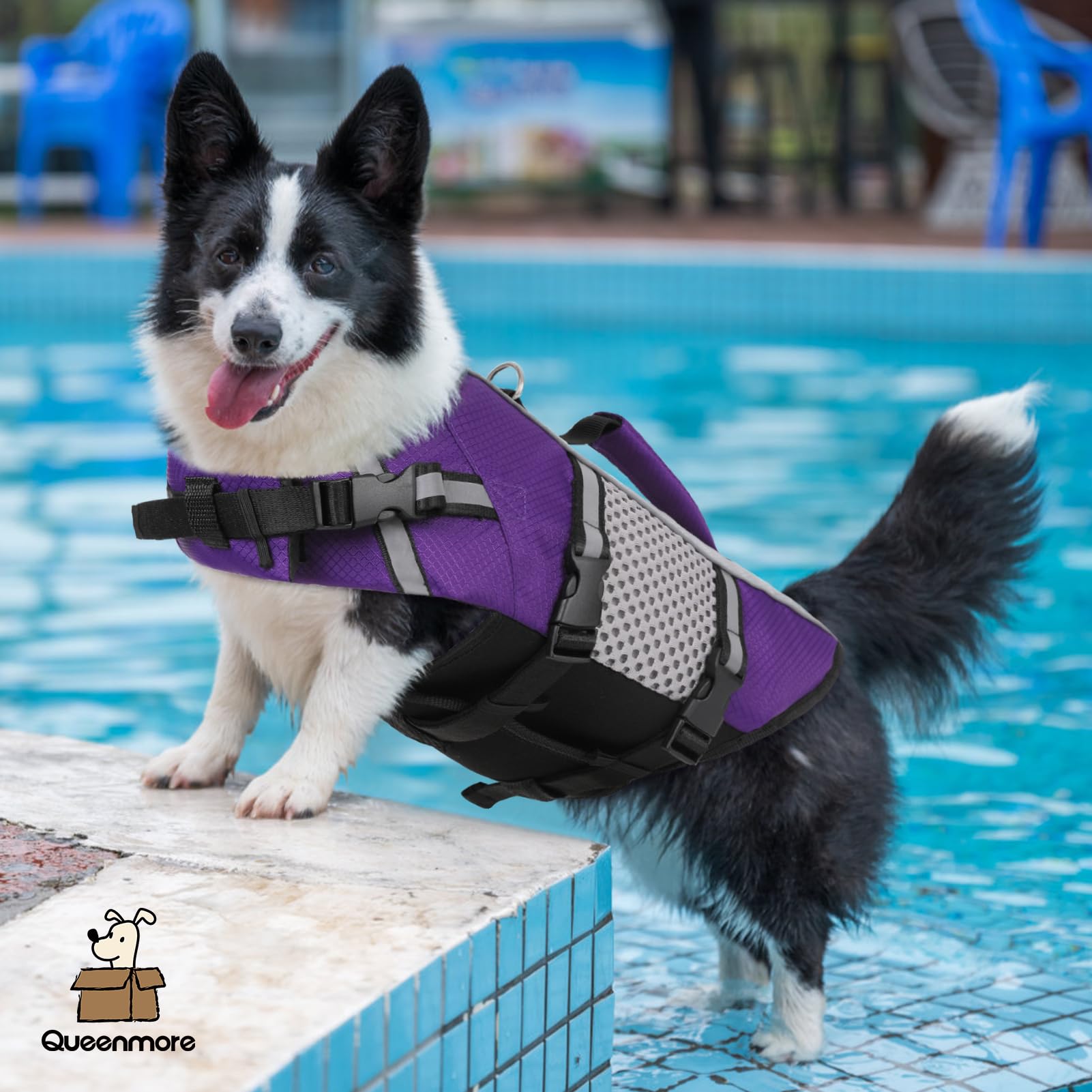 Anneau et laisse intégrés pour attacher le chien aisément.