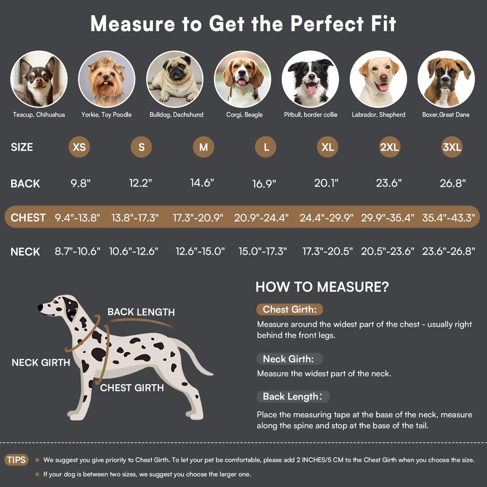 Bandes réfléchissantes Queenmore sur la veste, visibilité nocturne accrue.