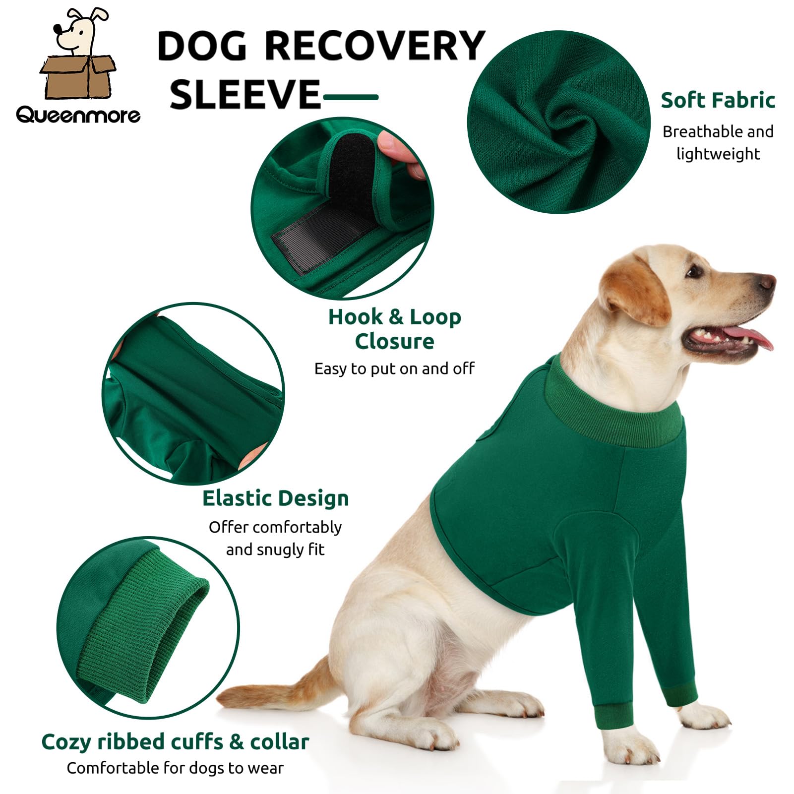 Queenmore chemise recuperation chien pattes avants, facile a enfiler