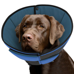 Queenmore cône-chien-grande-bleu-ouverte: confort après chirurgie