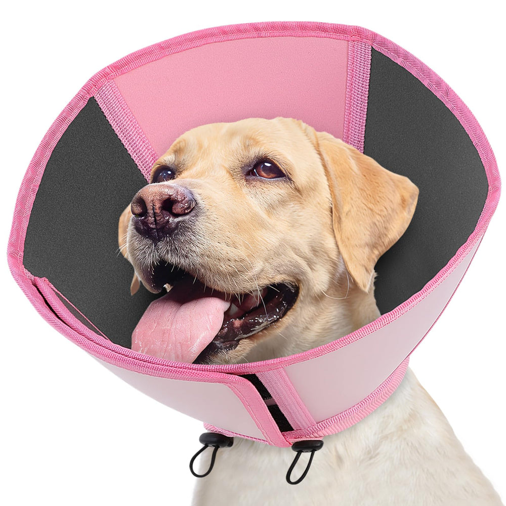 Queenmore cone-chien-grande-rose-pale — protection confortable pendant la récupération.