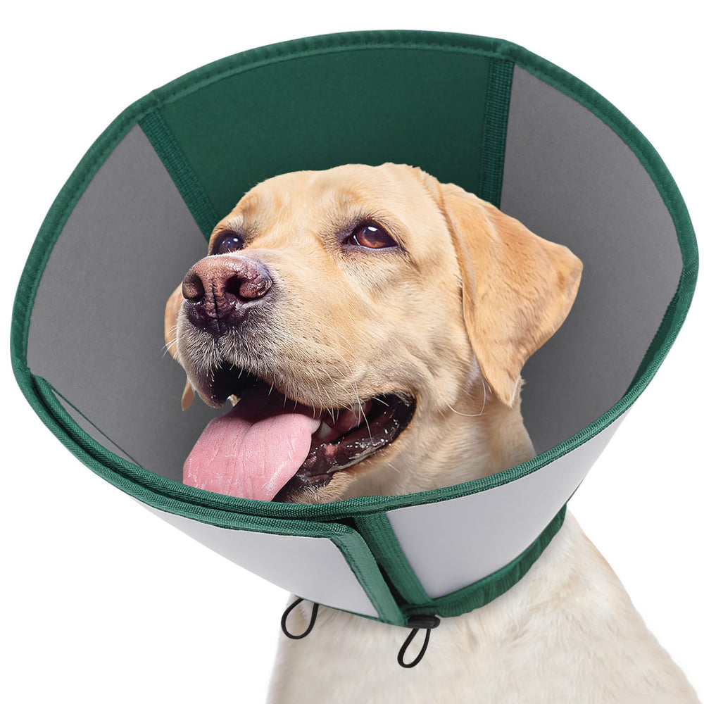 Cône Queenmore protège les plaies après chirurgie pour chien de grande taille.