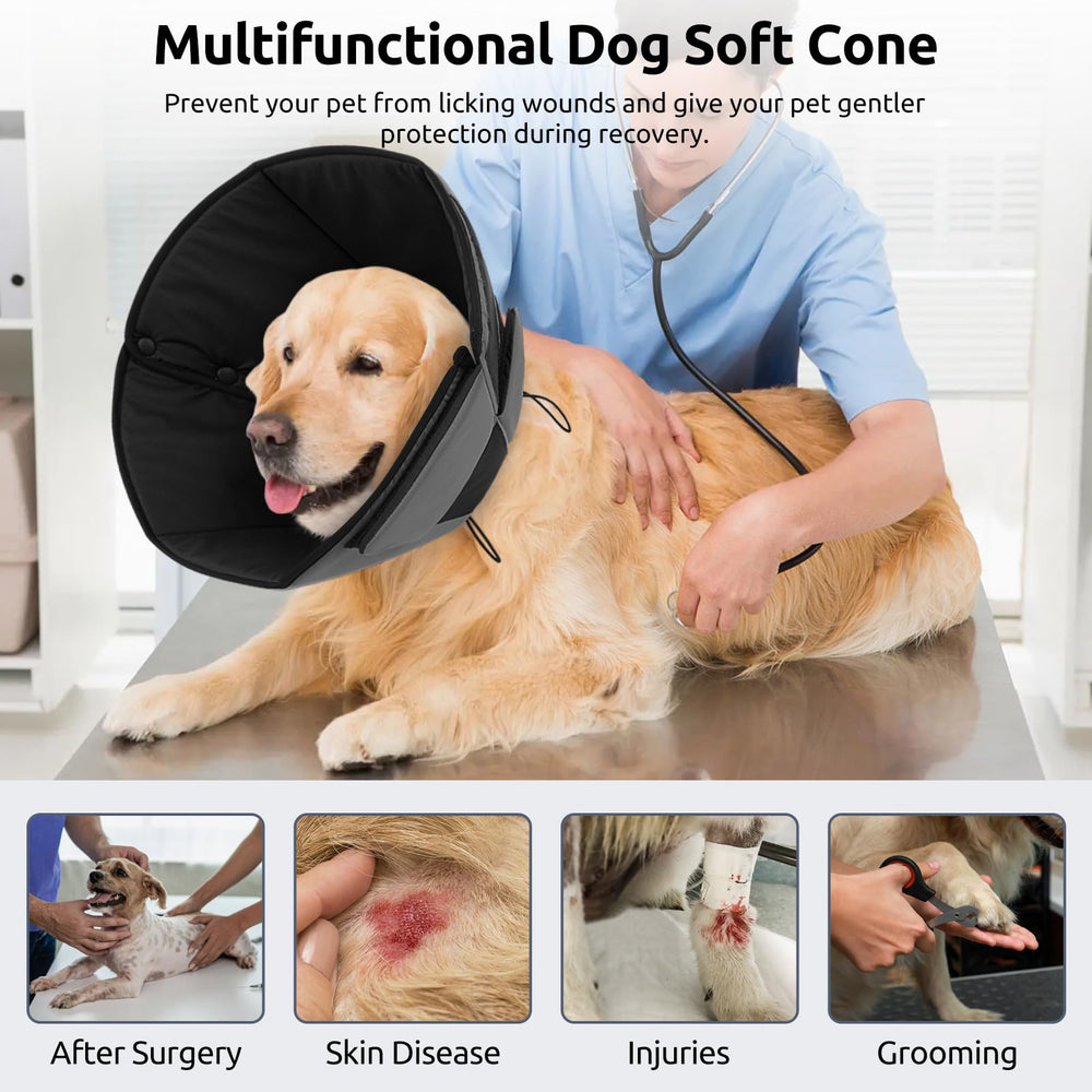 Queenmore cone-chien-xl montage facile avec fermeture Velcro.