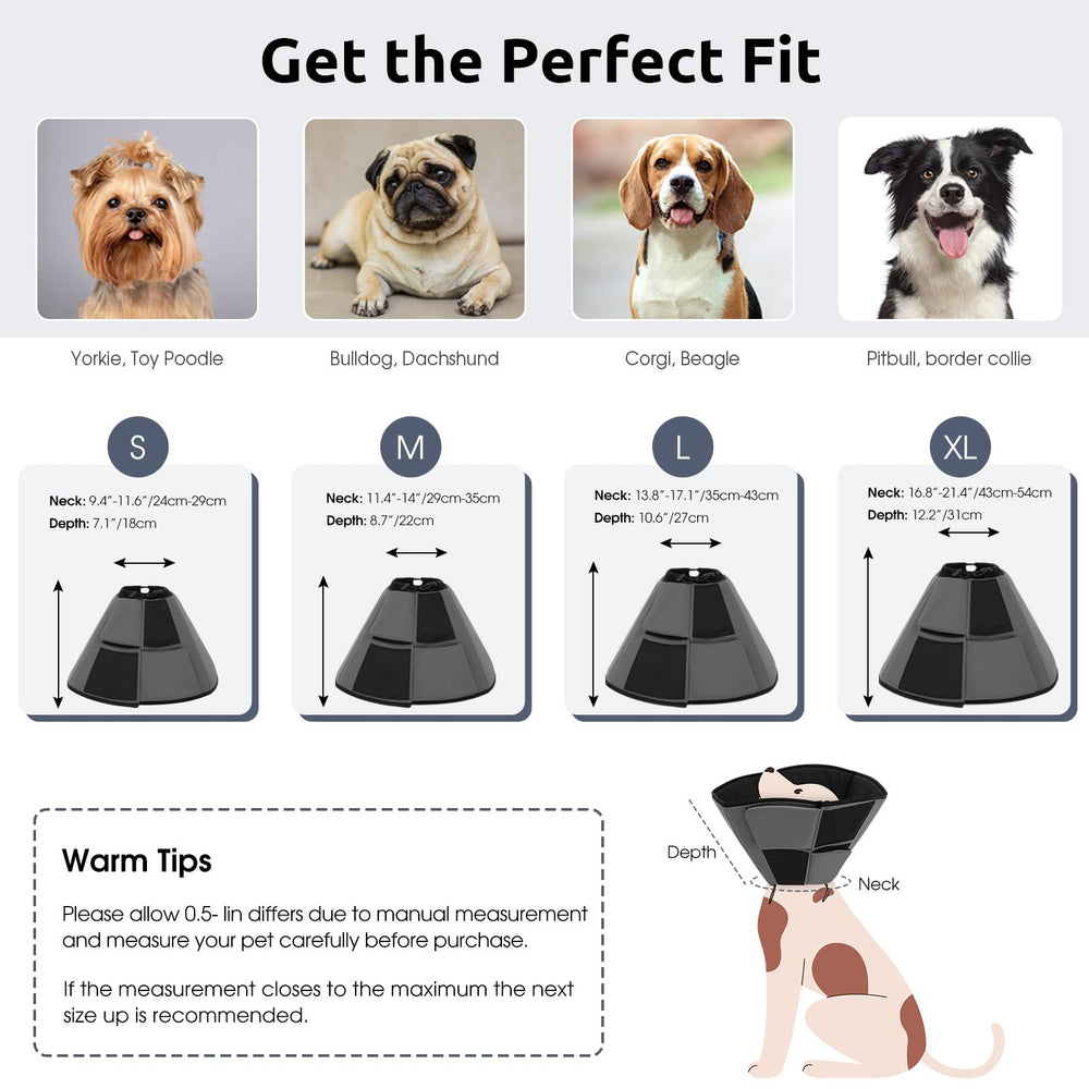 Queenmore cone-chien-xl protection contre léchage et griffures.
