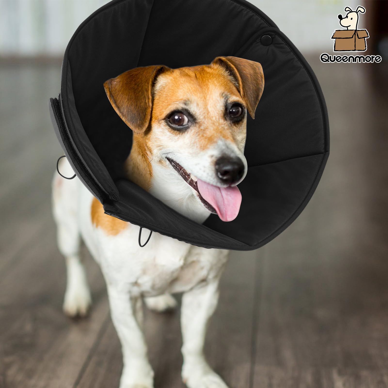 Queenmore cone-chien-xl rangement compact après utilisation.