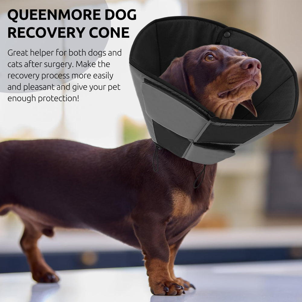 Queenmore cone-chien-xl taille XL convient à la plupart des grandes races.
