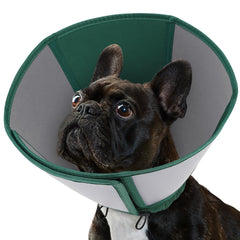 Queenmore cone-doux-pour-chien-moyen: confort et sécurité pendant la récupération.