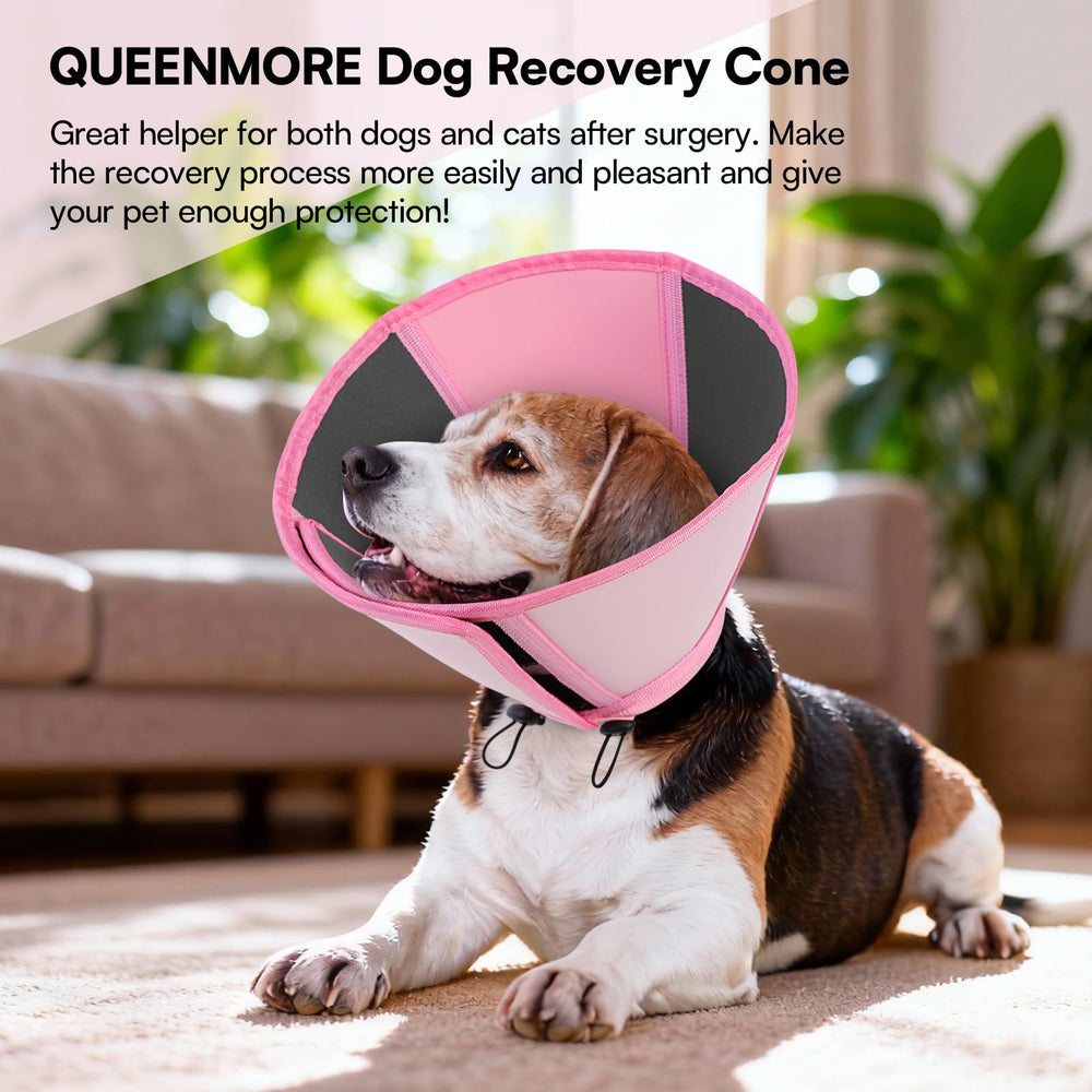 Queenmore cone-durable-reglage-chien — maintien sécurisé durant la récupération active.