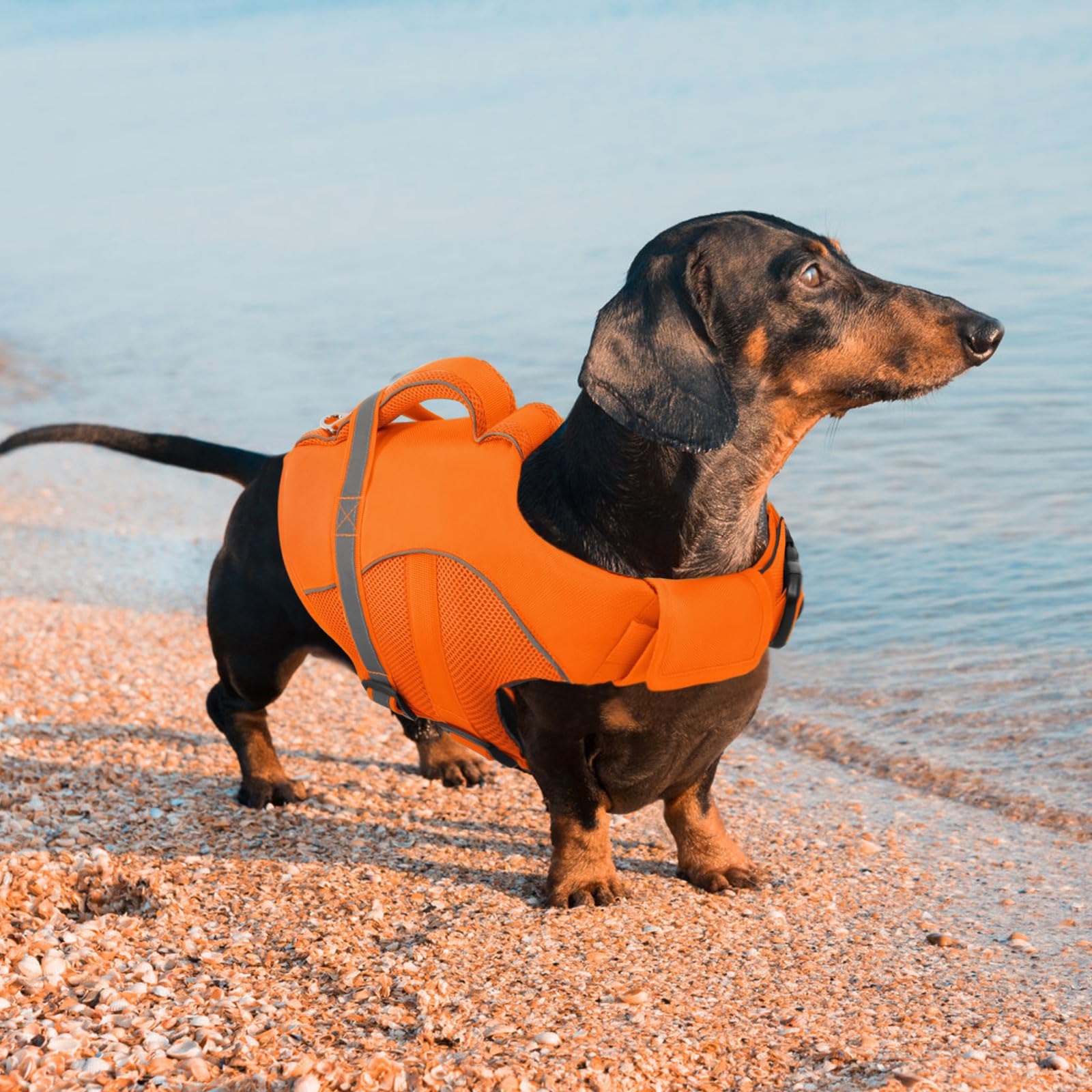 Queenmore gilet assure liberté de mouvement pendant natation et sorties nautiques.