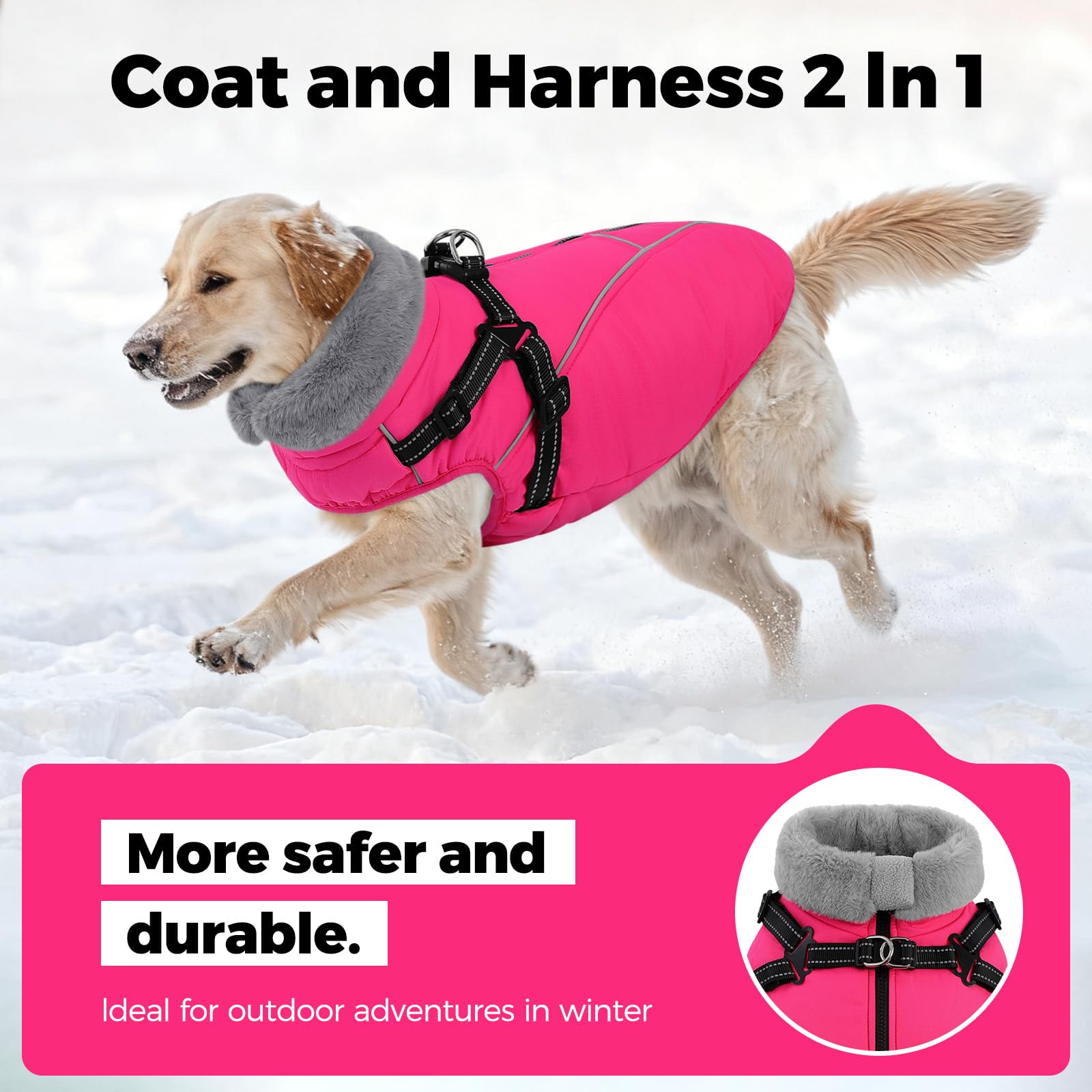 Queenmore doublure polaire chaude pour chien, douceur et chaleur durables