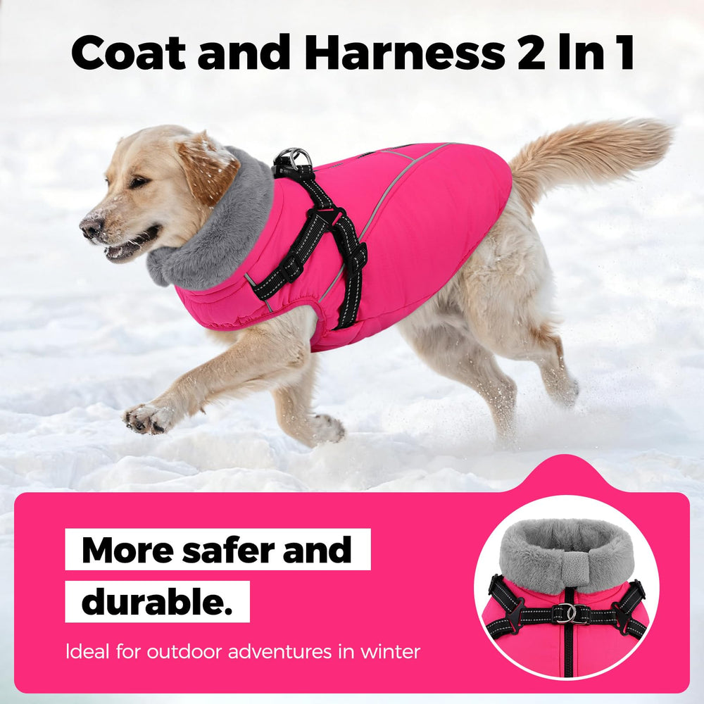Queenmore doublure polaire chaude pour chien, chaleur durable.