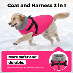 Queenmore doublure polaire chaude pour chien, chaleur durable.