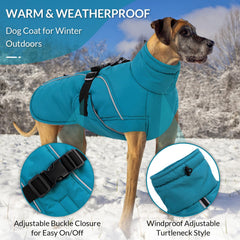 Doublure polaire chaude pour chien Queenmore assure chaleur durable.