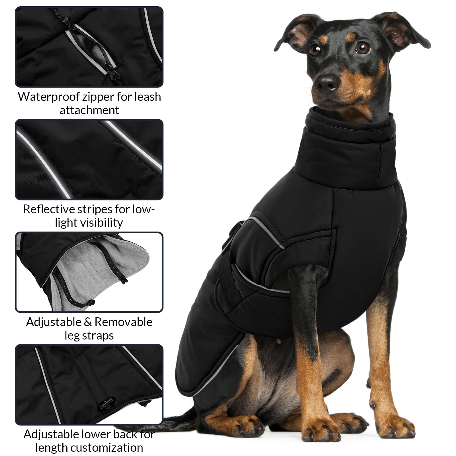 Queenmore doudoune chien ouverture pour laisse et harnais, pratique lors des promenades